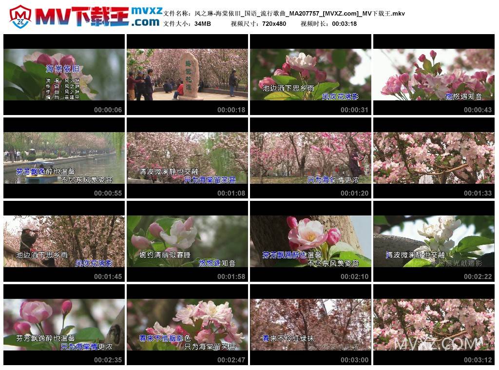 风之琳-海棠依旧_国语_流行歌曲_MA207757